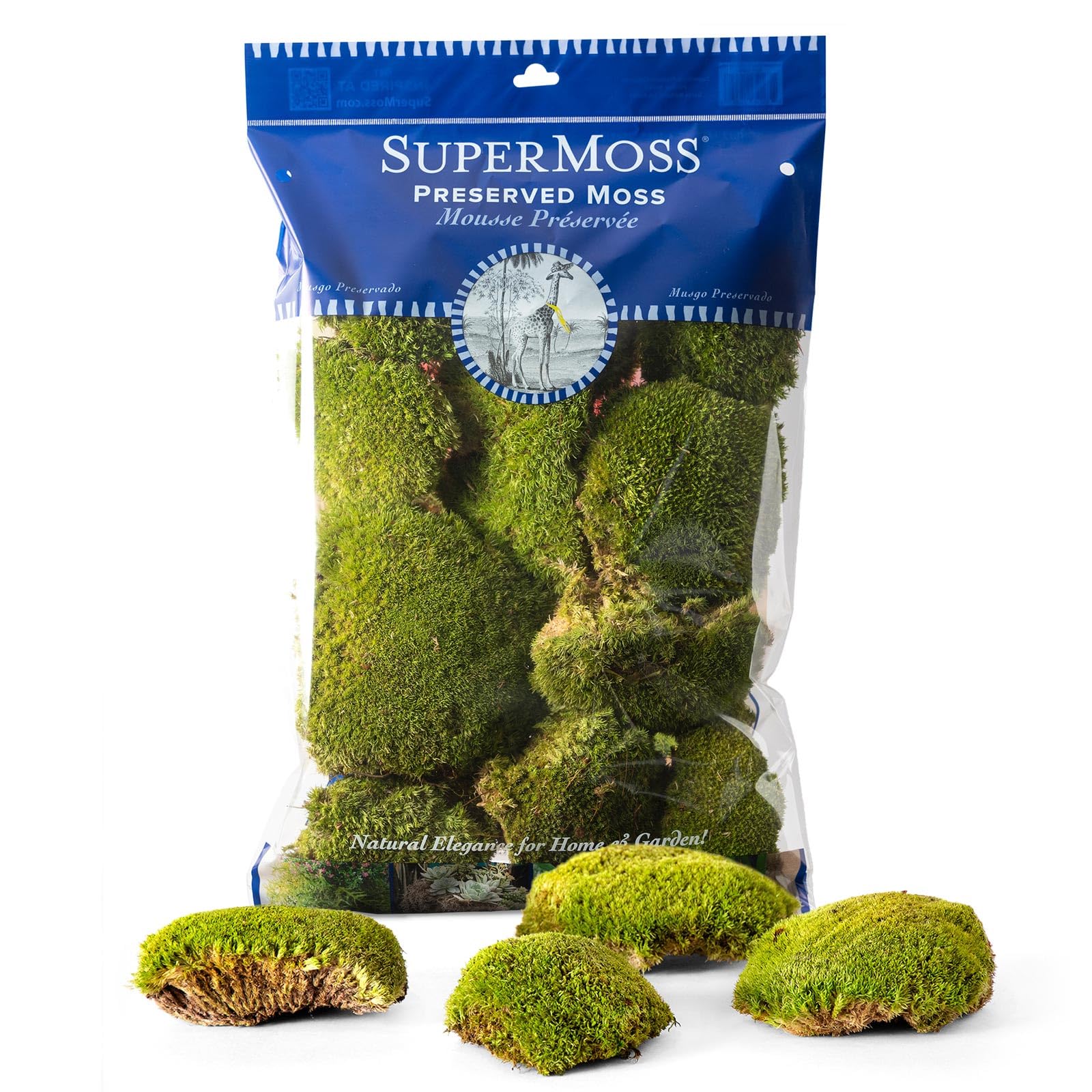 Amazon.com: SuperMoss (21890) Topa Moss Preserved | Eco-Friendly
